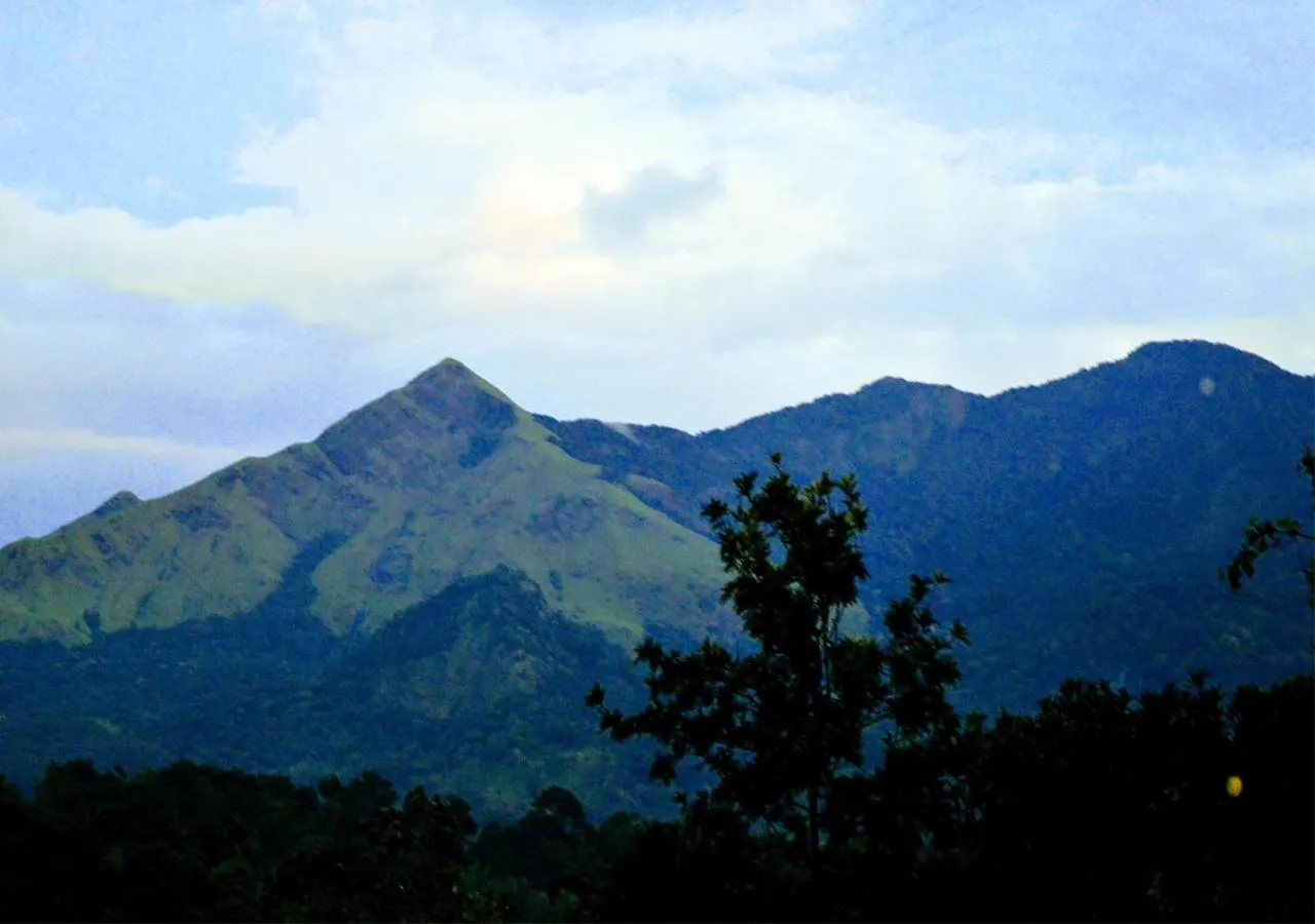 Vythiri Tea Garden Retreat Villa India