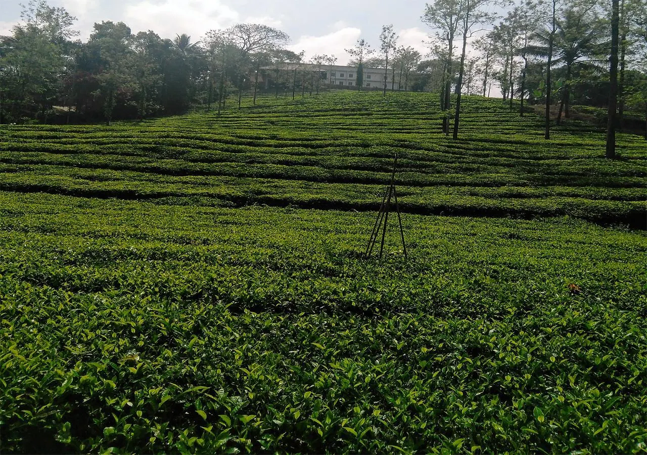 Vythiri Tea Garden Retreat Villa