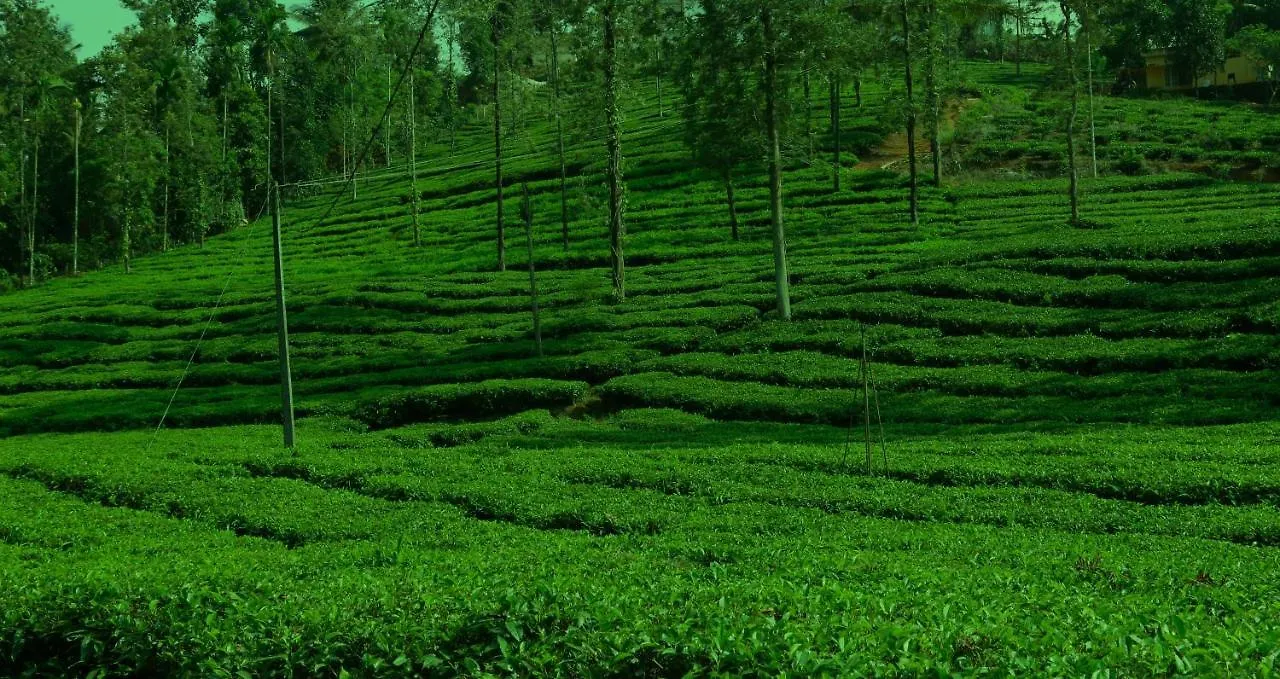 Vythiri Tea Garden Retreat Villa 0*,  India