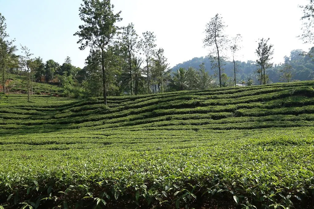 Vila Vythiri Tea Garden Retreat