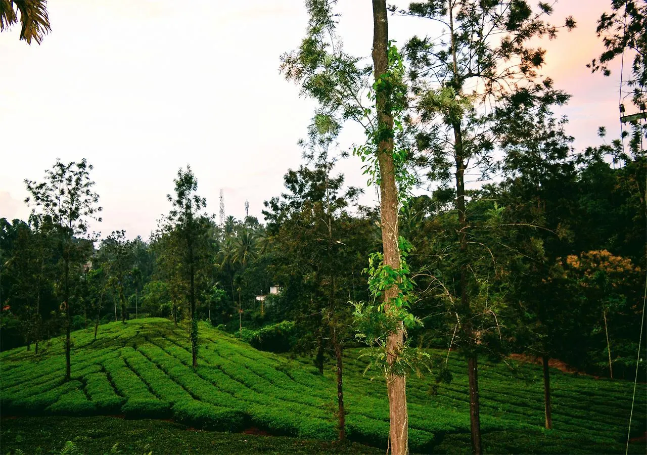Vila Vythiri Tea Garden Retreat