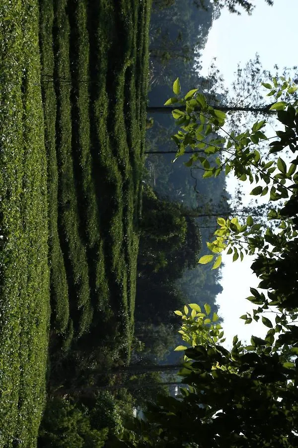 Vila Vythiri Tea Garden Retreat