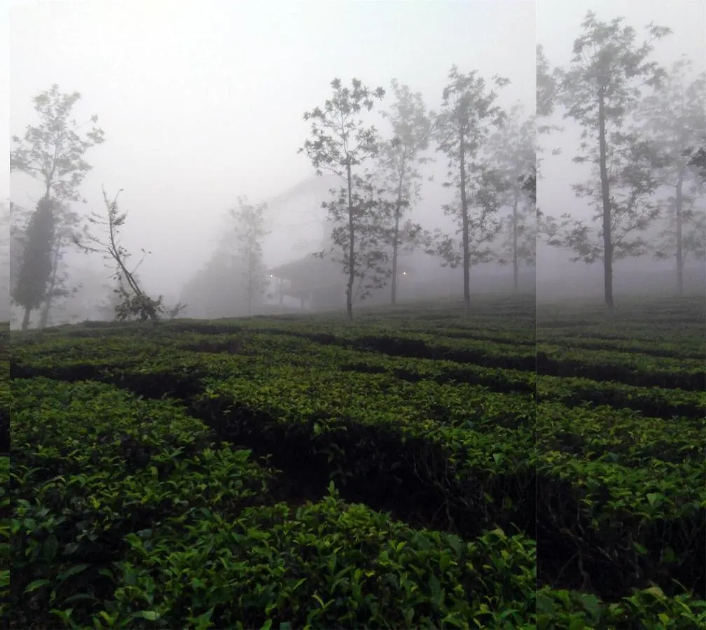 Vila Vythiri Tea Garden Retreat